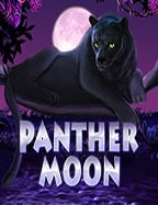 สล็อต PG ฟรี เครดิต 50ดาวน์โหลด slotxo android เล่นสนุกสุดๆ